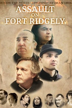 Assault on Fort Ridgely (2024) WEBRIP Hindi (MULTI AUDIO) 720p – 480p – 1080p Movie Poster