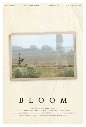 Bloom (2024) WEBRIP Hindi (MULTI AUDIO) 720p – 480p – 1080p Movie Poster