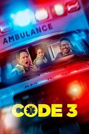 Code 3 (2025) WEBRIP Hindi (MULTI AUDIO) 720p – 480p – 1080p Movie Poster