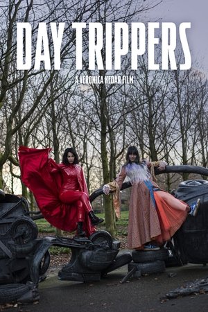 Day Trippers (2024) WEBRIP Hindi (MULTI AUDIO) 720p – 480p – 1080p Movie Poster