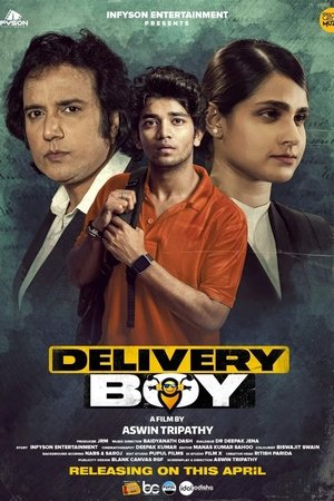 Delivery Boy 2 (2025) WEBRIP Hindi (MULTI AUDIO) 720p – 480p – 1080p Movie Poster
