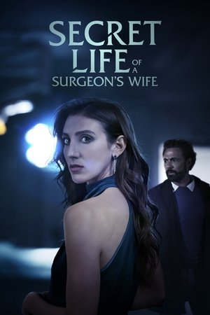 Secret Life of a Surgeon's Wife (2025) WEBRIP Hindi (MULTI AUDIO) 720p – 480p – 1080p