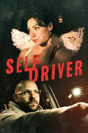 Self Driver (2024) WEBRIP Hindi (MULTI AUDIO) 720p – 480p – 1080p