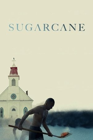 Sugarcane : les ombres d'un pensionnat (2024) WEBRIP Hindi (MULTI AUDIO) 720p – 480p – 1080p