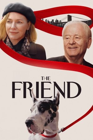 The Friend (2025) WEBRIP Hindi (MULTI AUDIO) 720p – 480p – 1080p Movie Poster