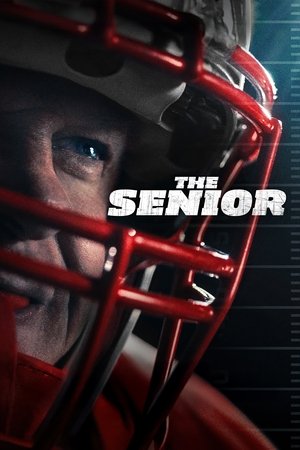 The Senior (2025) WEBRIP Hindi (MULTI AUDIO) 720p – 480p – 1080p Movie Poster