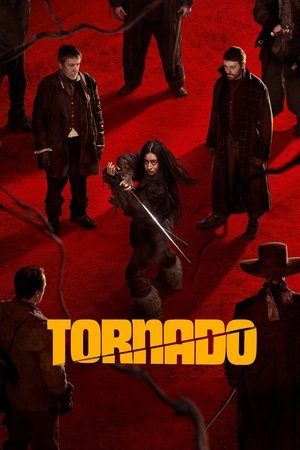 Tornado (2025) WEBRIP Hindi (MULTI AUDIO) 720p – 480p – 1080p Movie Poster